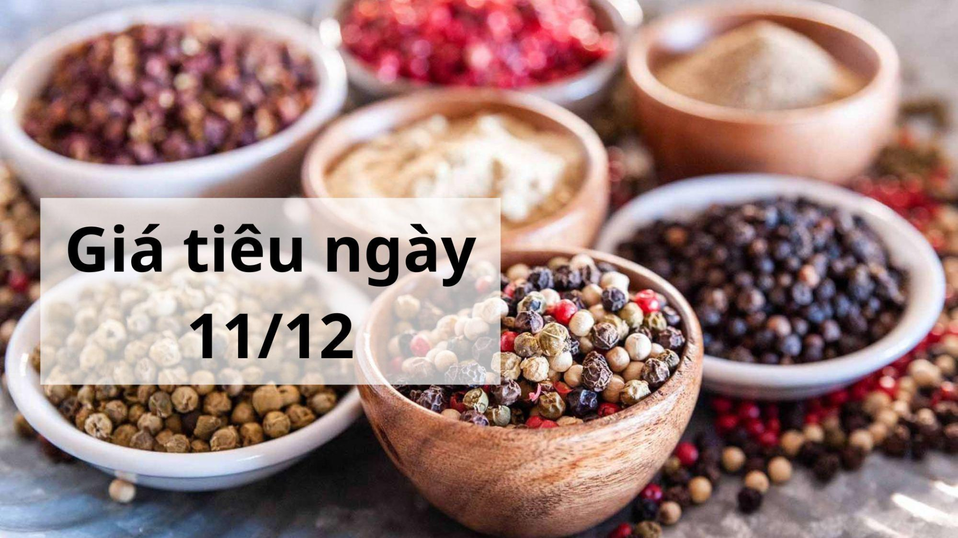 Giá tiêu hôm nay ngày 1605 (3)