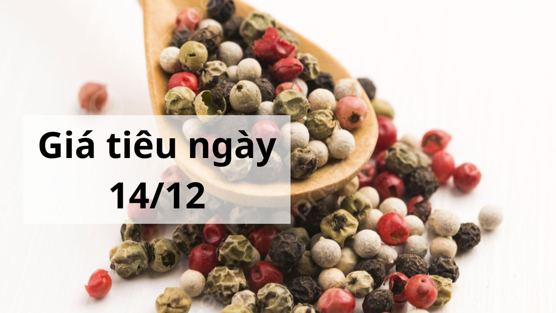 Giá tiêu hôm nay ngày 1605 (6)