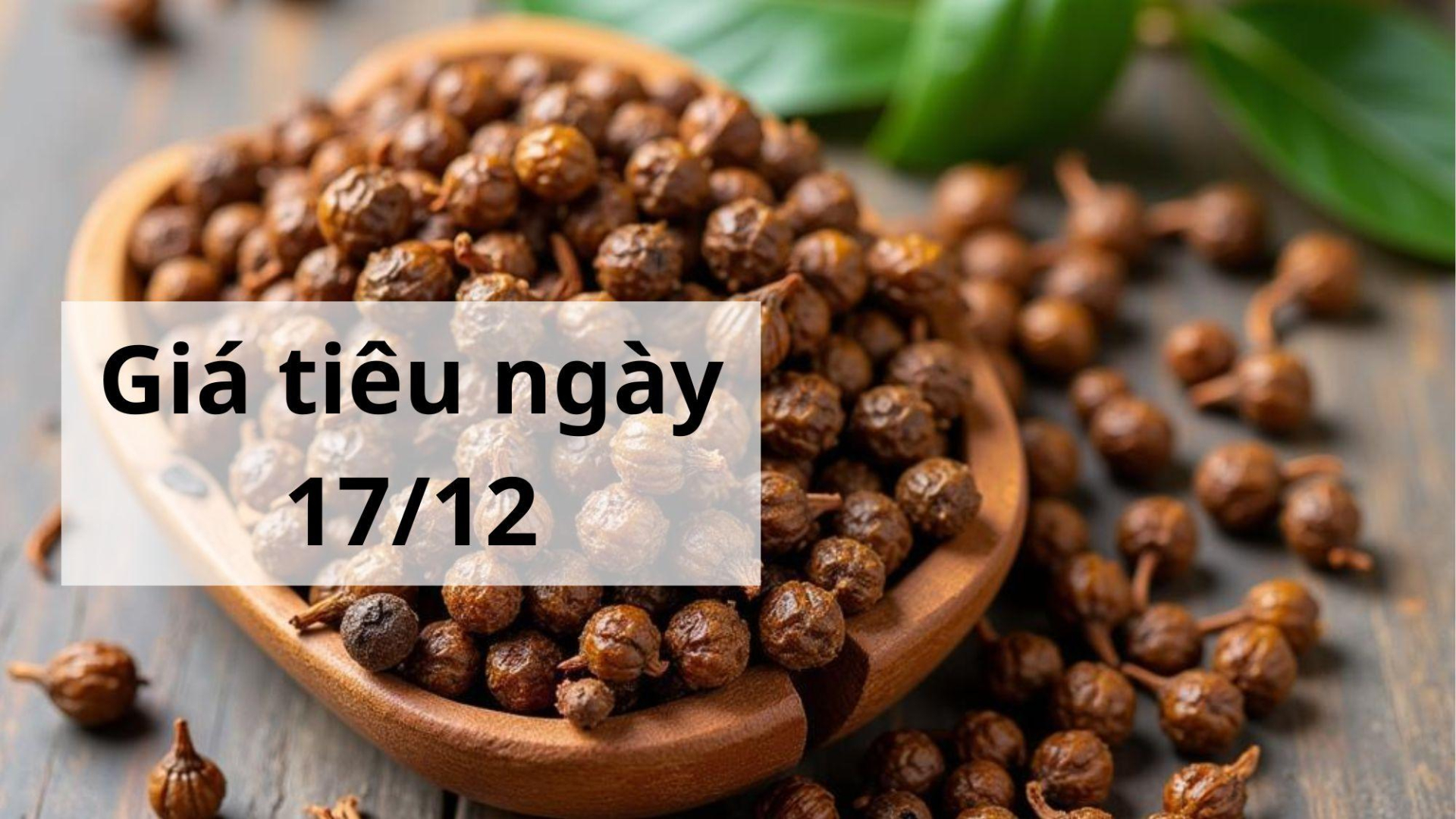 Giá tiêu hôm nay ngày 1605 (4)