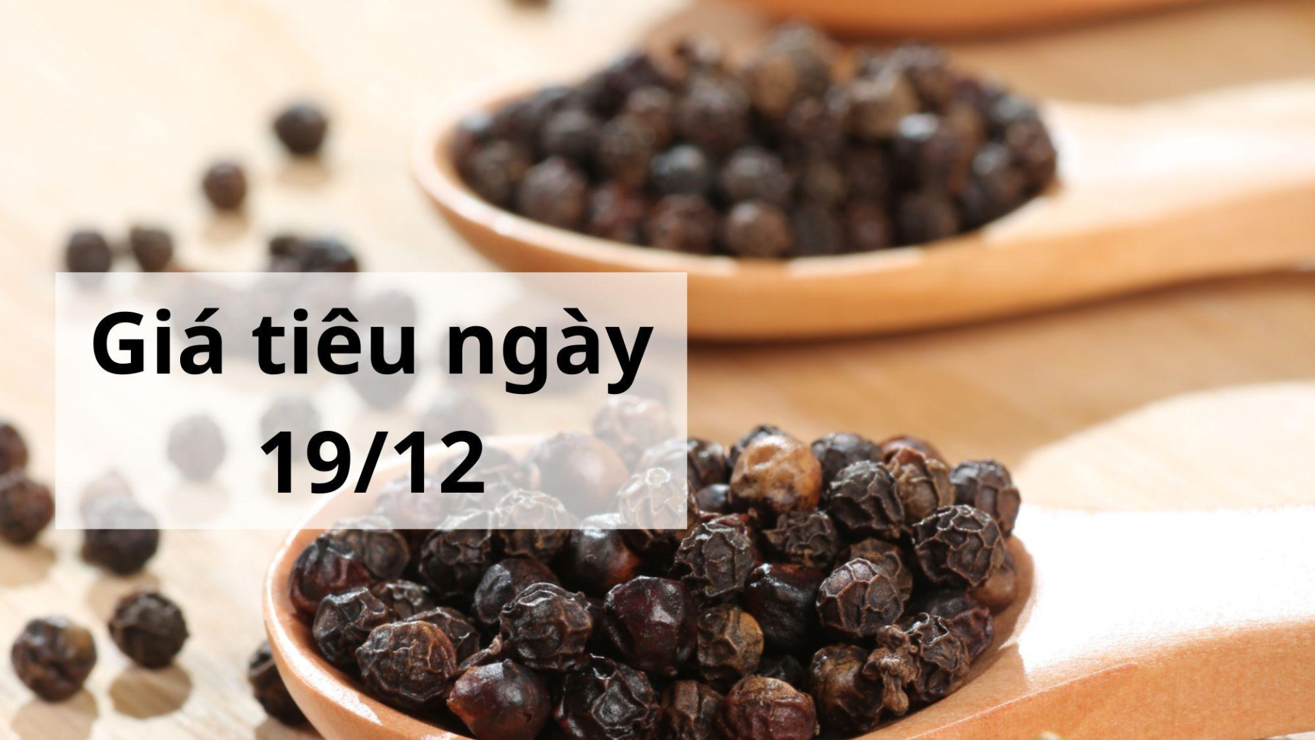 Giá tiêu hôm nay ngày 1605 (9)