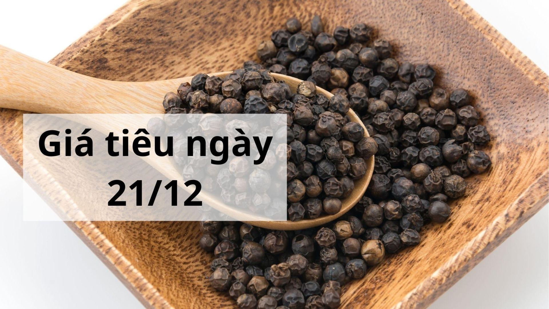 Giá tiêu hôm nay ngày 1605 (11)