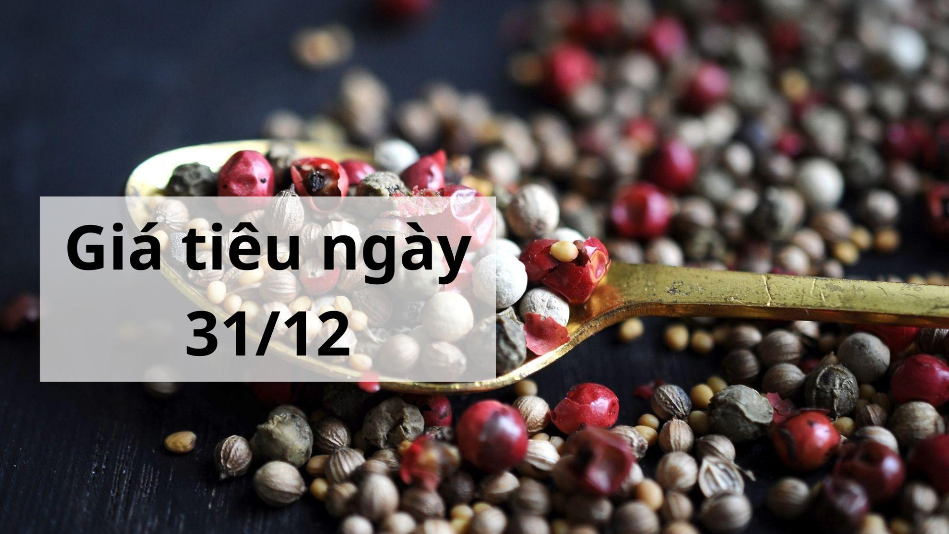 Giá tiêu hôm nay ngày 1605 (23)