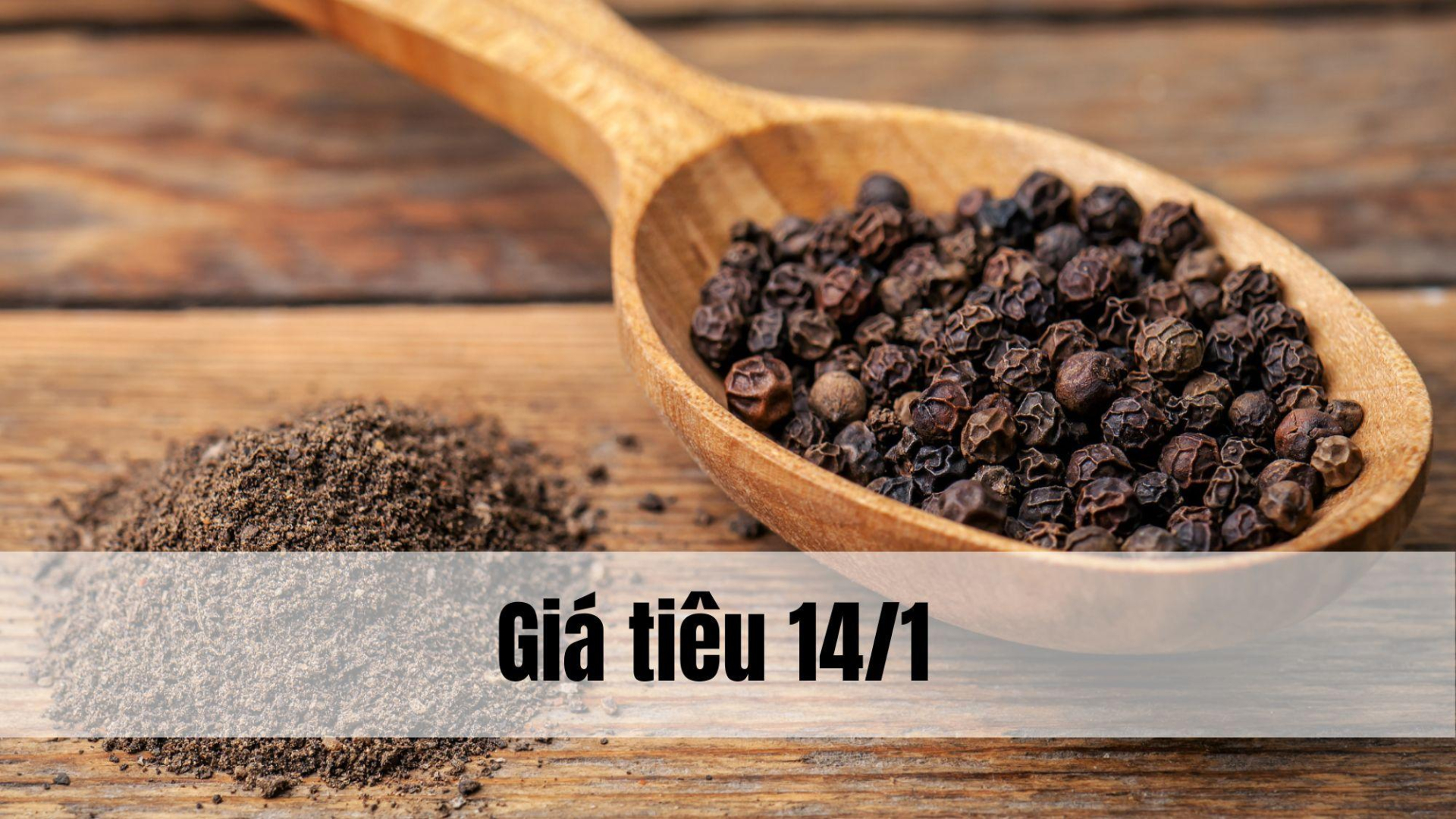 Giá tiêu hôm nay ngày 1605 (6)