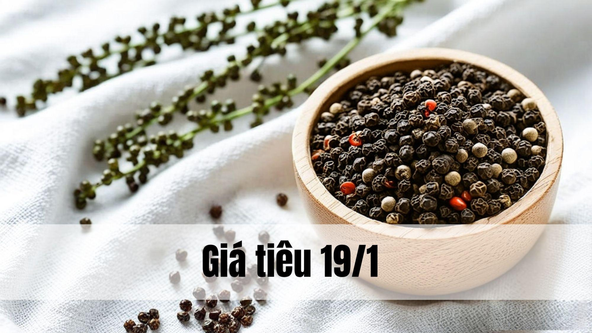 Giá tiêu hôm nay ngày 1605 (5)