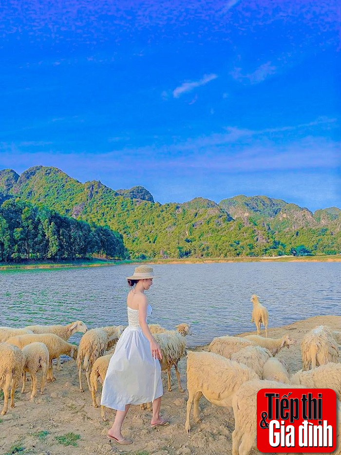 doi-cuu-ninh-binh (3)