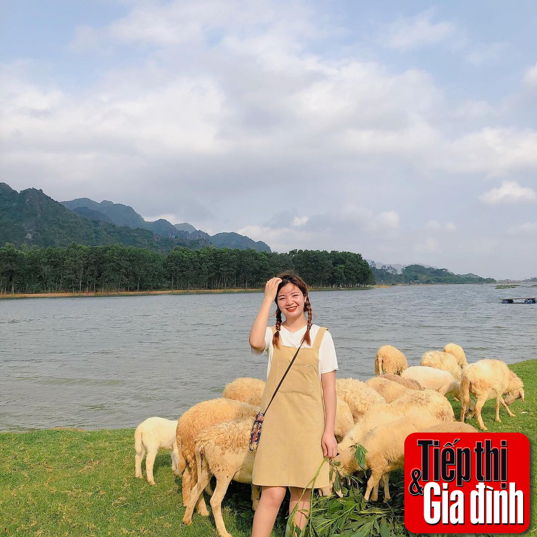 doi-cuu-ninh-binh (8)