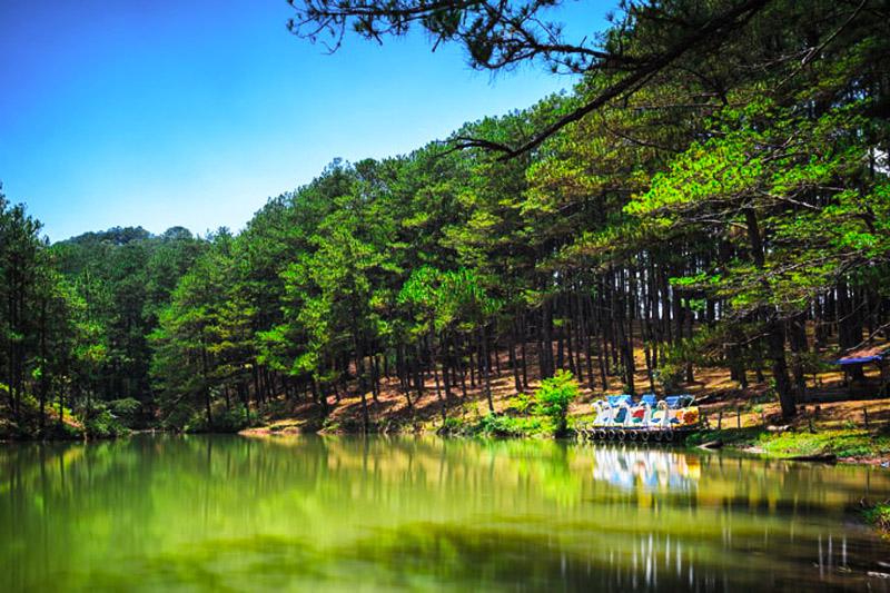 thung-lung-vang-da-lat1