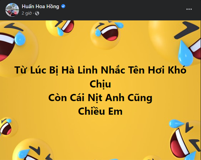huan-hoa-hong 0