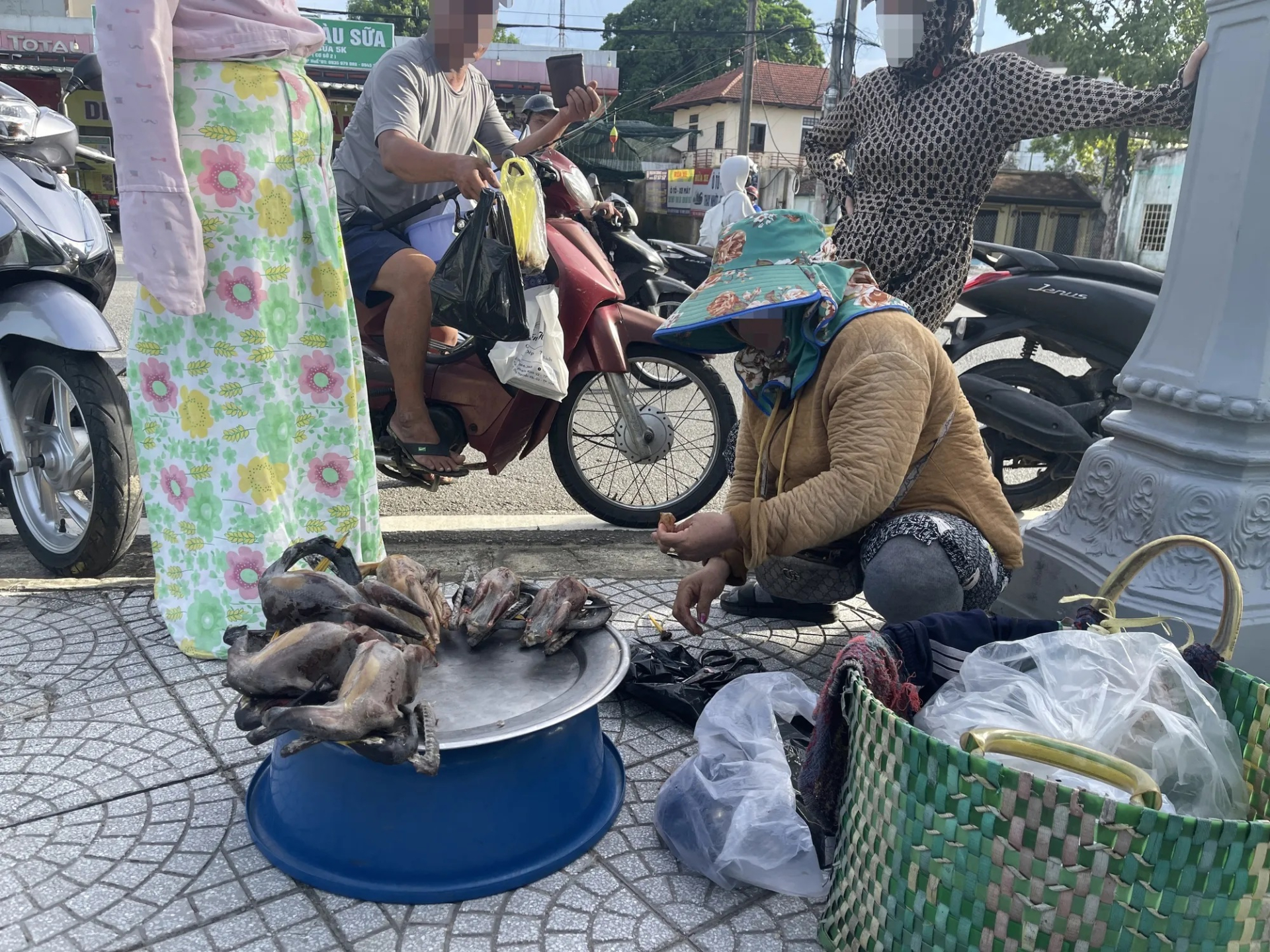 rao bán chim trời 1