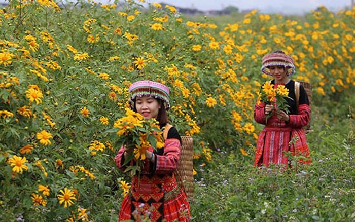 hoa-da-quy-moc-chau