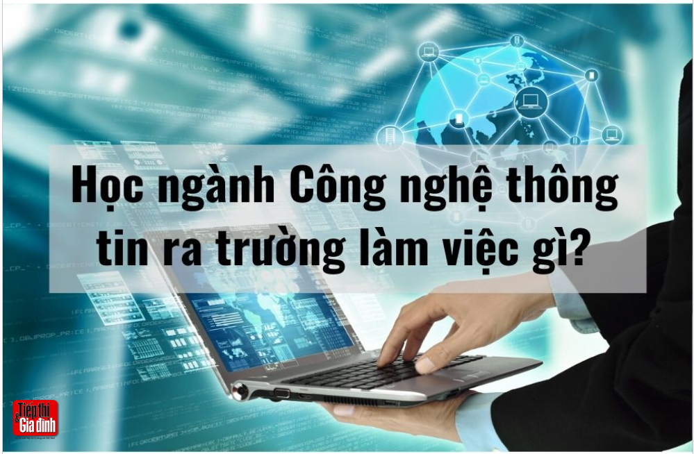 Hoc-cong-nghe-thong-tin-ra-lam-gi-co-hoi-viec-lam