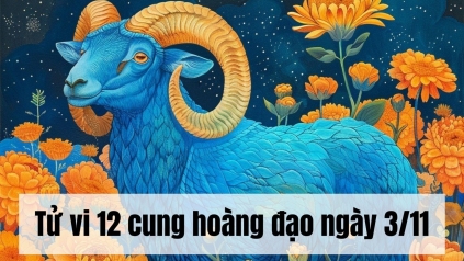 Tử vi 12 cung hoàng đạo Chủ Nhật ngày 3/11/2024