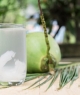 Uống nước dừa sẽ giúp trẻ sơ sinh trắng hồng?